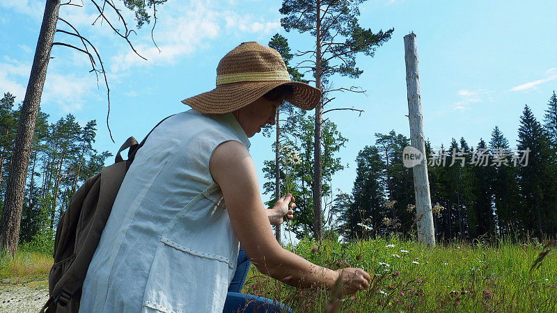 一位妇女在森林附近散步时正在采摘野花