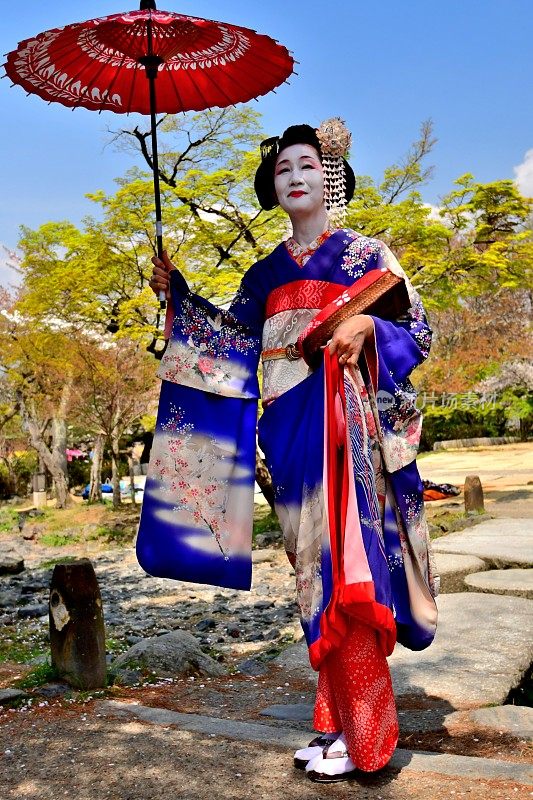 穿着舞子服装的日本女人享受京都的春天