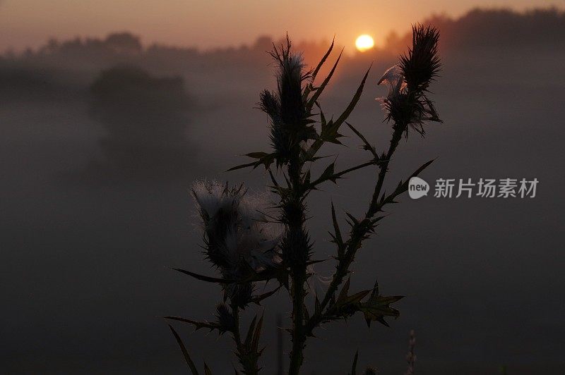 荒原上的日出