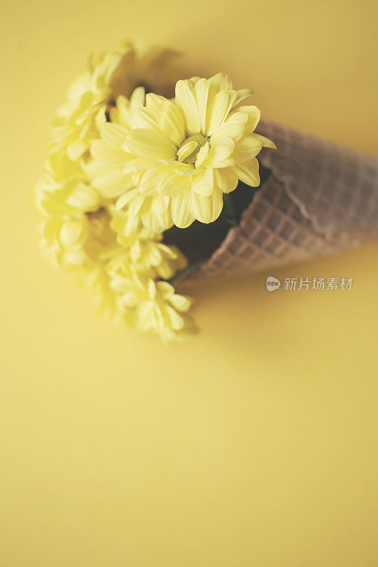 在冰淇淋蛋筒中的黄色花朵裁剪的镜头