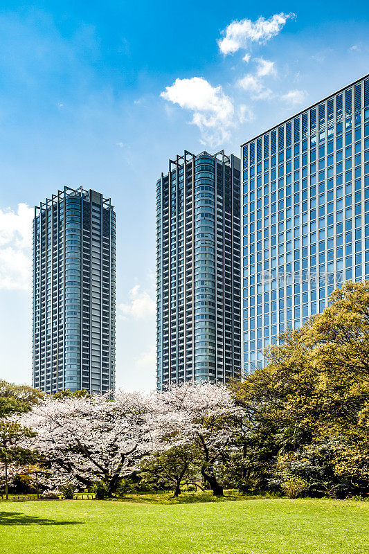 日本东京新宿公园