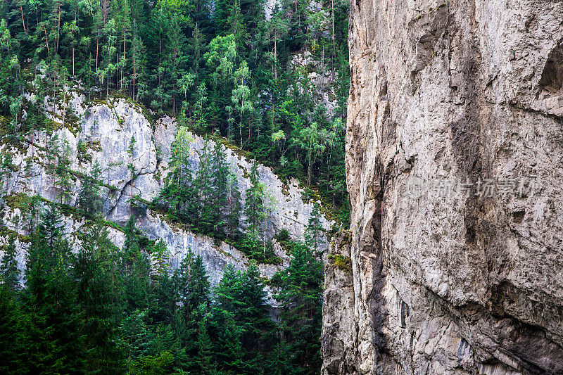 山地和森林景观的比卡斯峡谷，喀尔巴阡山脉，罗马尼亚