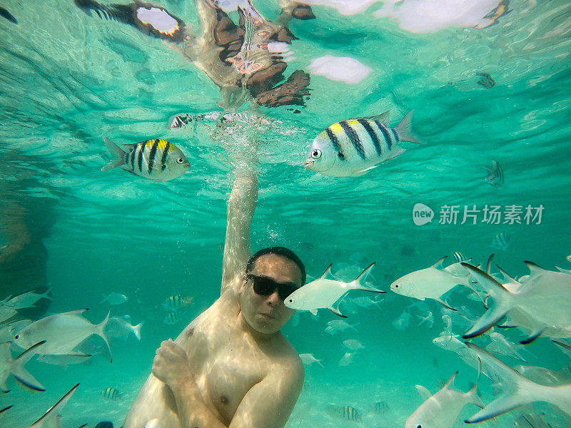 一个戴着太阳镜的人在绿色的大海里和鱼玩。