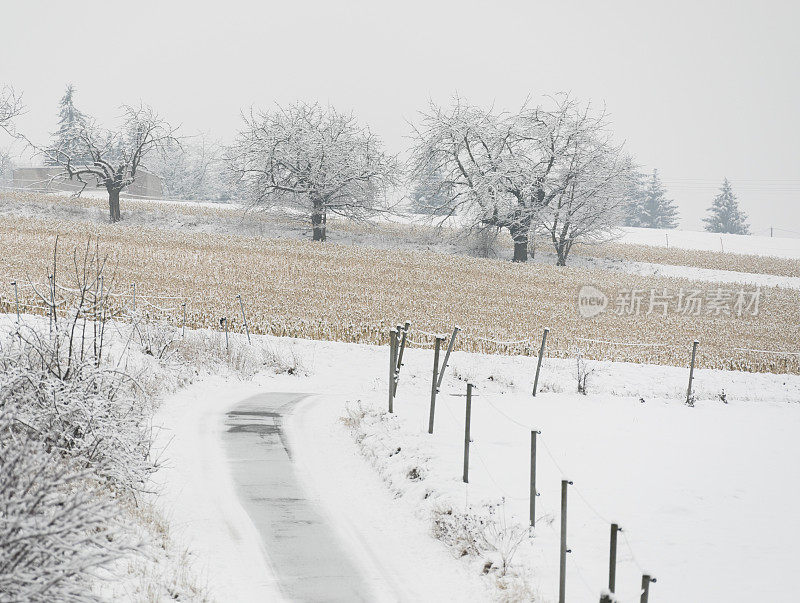 蜿蜒的道路穿过农村地区刚下过的雪