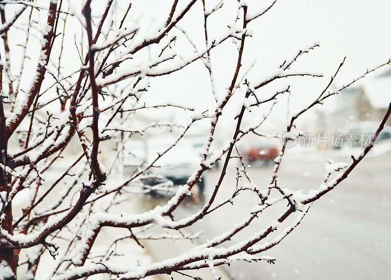 在居民区的大雪中开车。美国