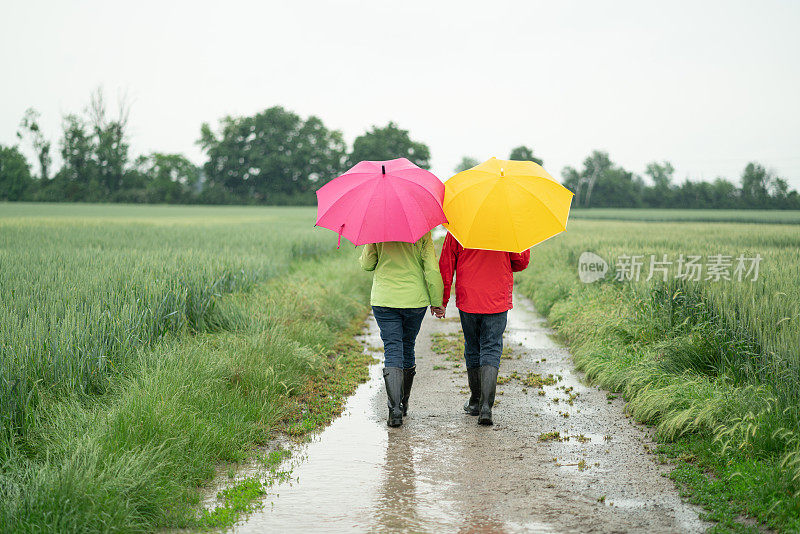 后视图老夫妇撑着雨伞在雨天行走