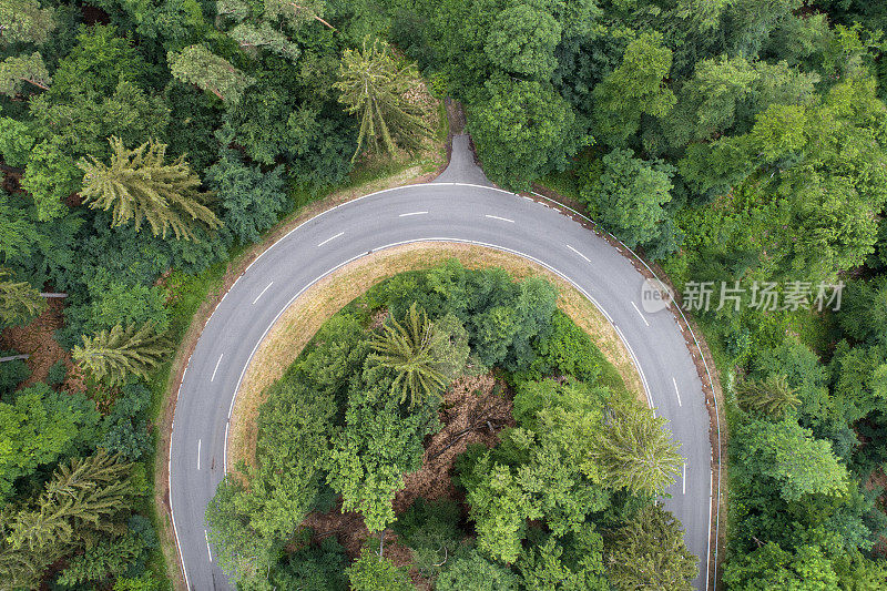 蜿蜒的道路穿过森林