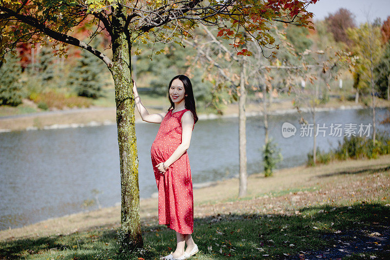 怀孕的中国女人和丈夫