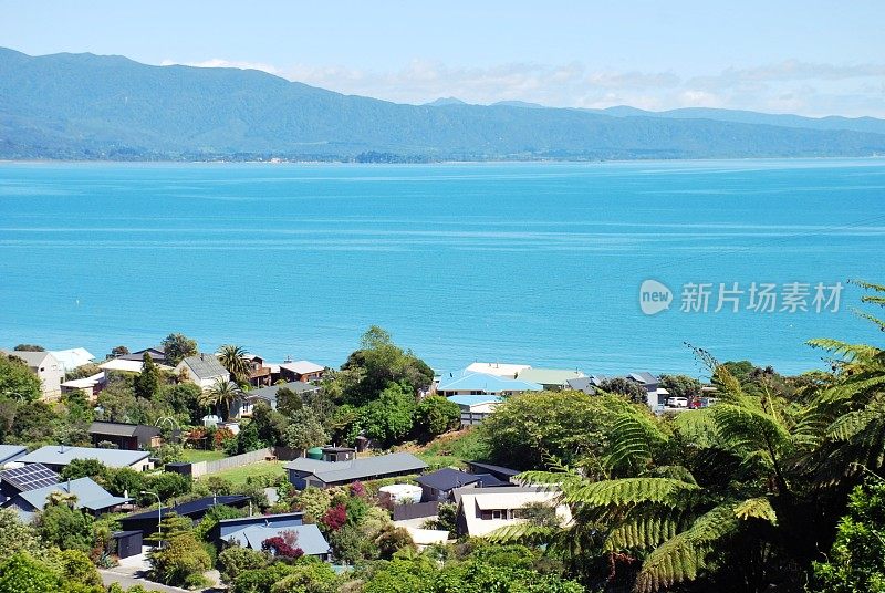 新西兰风格的房屋在沿海村庄的高架视图