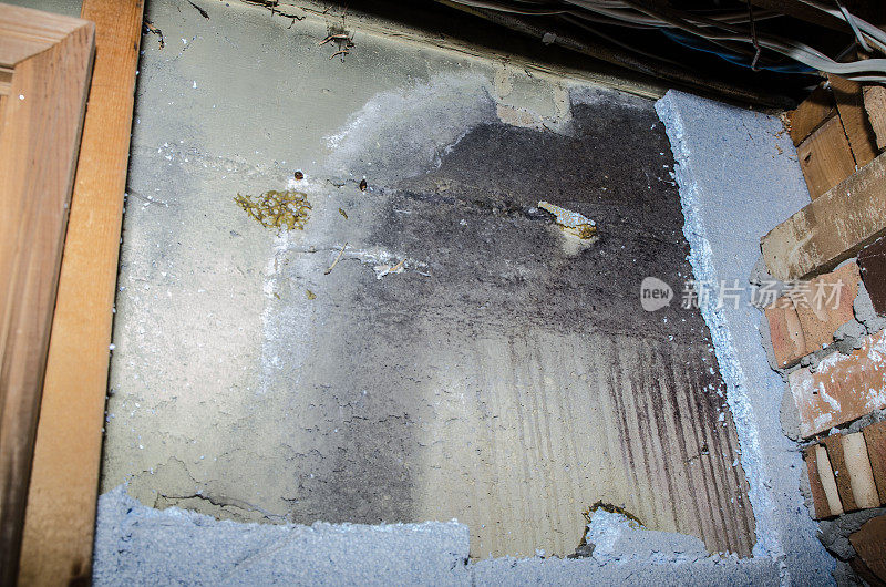 地下室的混凝土墙后面满是霉菌，聚苯乙烯隔离
