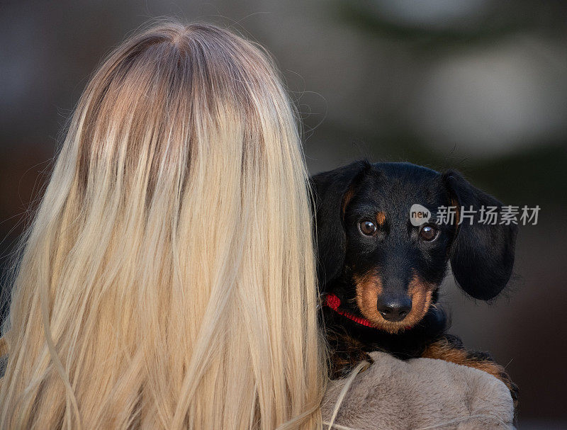 金发女郎和她的腊肠小狗