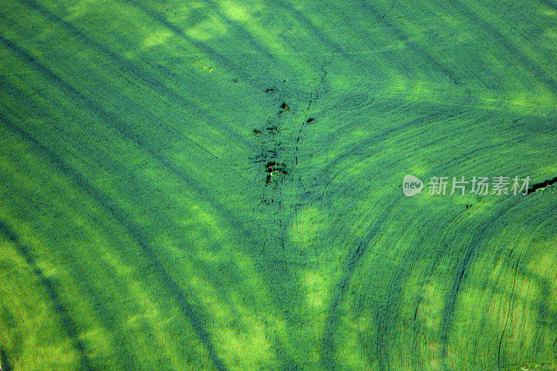 从直升机上看几何种植园