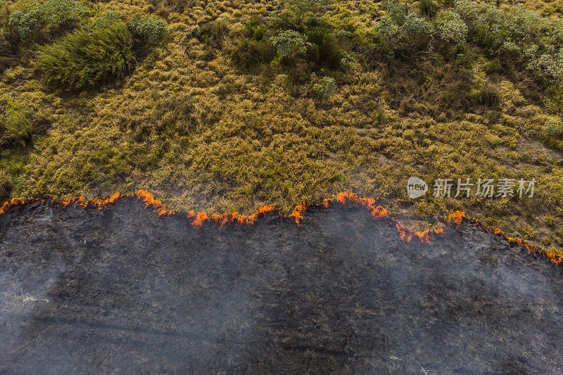 巴西森林大火-气候变化
