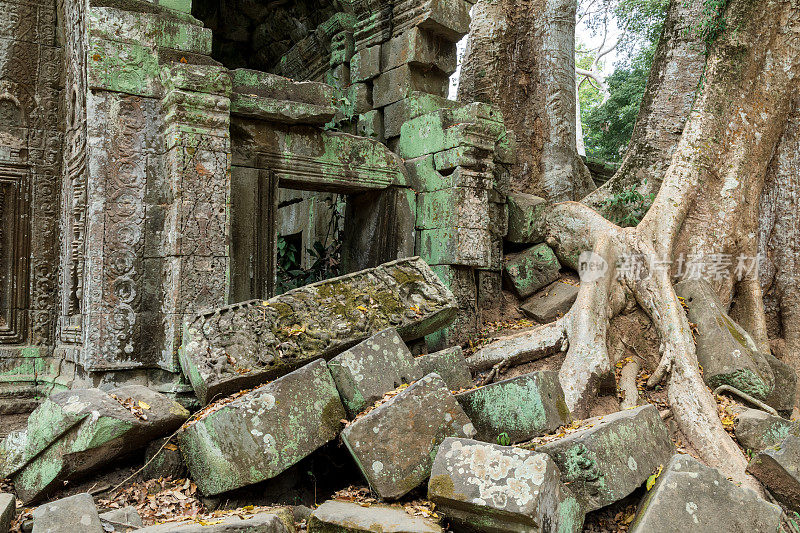 柬埔寨吴哥，塔普隆寺