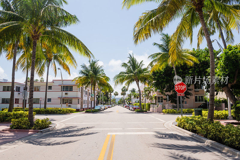 热带迈阿密海滩街景与棕榈树