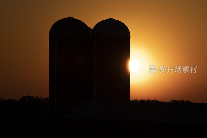 炎热的夏天日出背后的剪影筒仓。