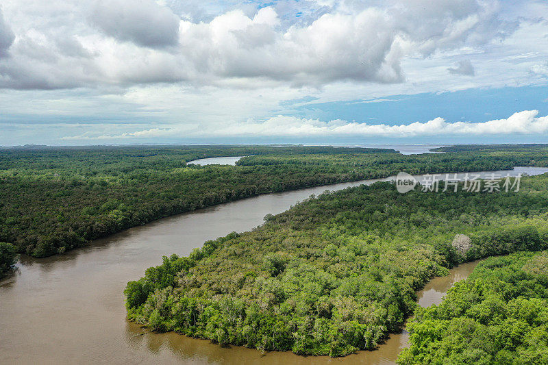 亚马逊雨林和河流