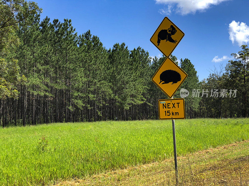 指示司机道路上可能有动物出没的标志