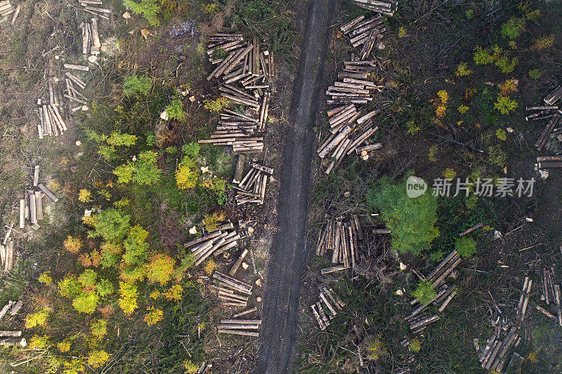 森林，毁林区域-鸟瞰图