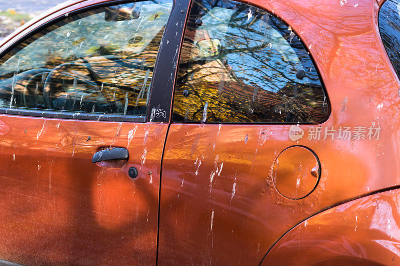 秋天停在树下的一辆橙色汽车上的鸟粪。