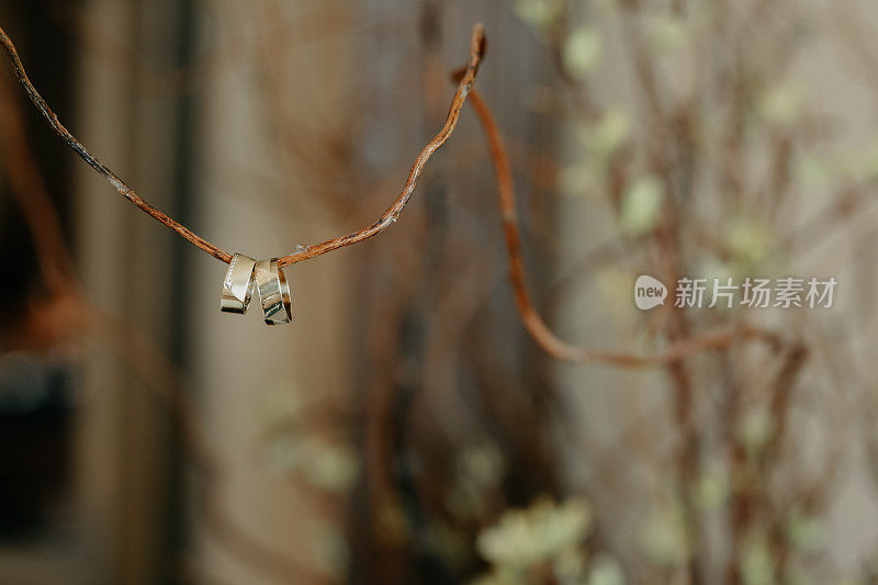 结婚戒指挂在葡萄树枝上