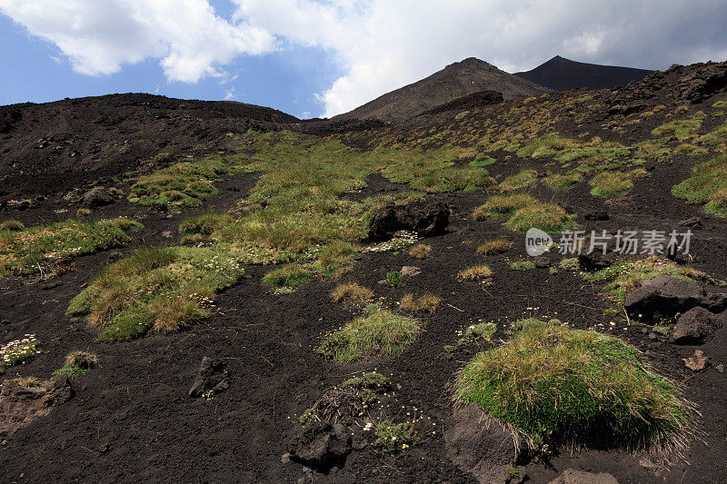 埃特纳火山的火山景观