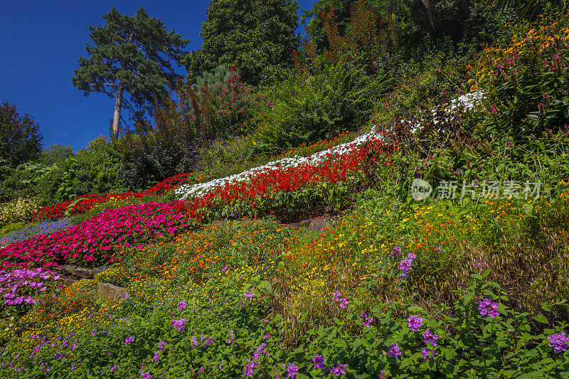 五彩缤纷的花园，田园般的科莫湖，放松风景，意大利