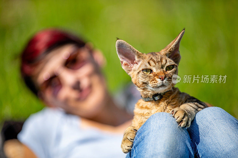 女宠物主人放松户外与她的德文郡雷克斯小猫-库存照片