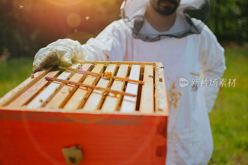 养蜂人在蜂箱上工作