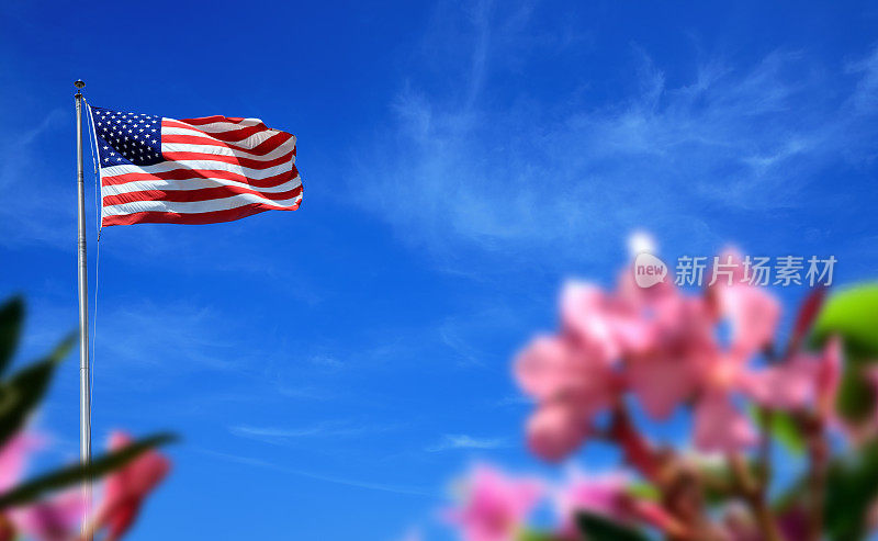 旗杆上插着美国国旗，蔚蓝的天空上有鲜花