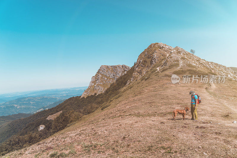 男人带着狗在山里旅行