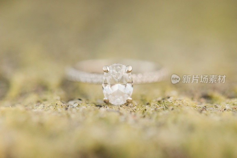 椭圆钻石白金订婚戒指的微距照片在绿藻覆盖的岩石上的海滩