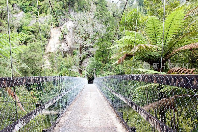 横跨Paparoa国家公园雨林的桥