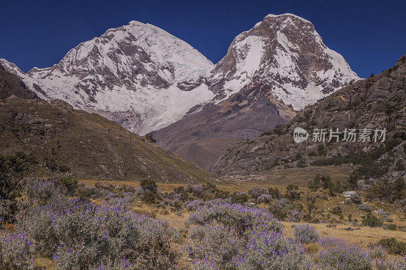 秘鲁瓦拉兹附近的卡什安第斯山脉的布兰卡山谷野花和华斯卡兰山丘