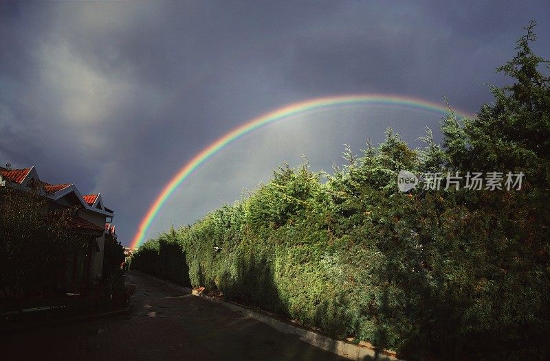 彩虹的尽头，前景是一片田野，彩虹在树的上方