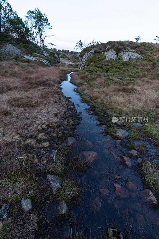 挪威的户外风景:近距离观察苔原景观