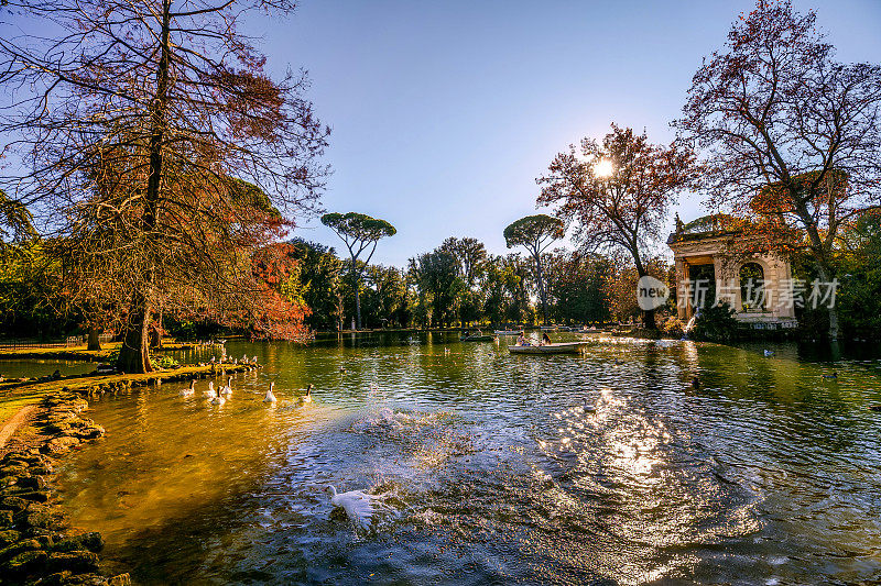 在绿色的罗马中心，波勒塞别墅湖的一幅令人遐想和宁静的秋景