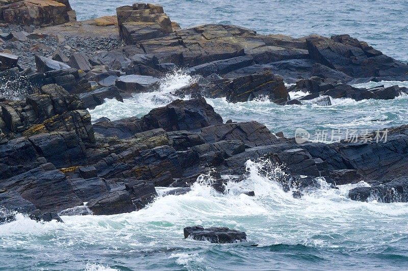 缅因州的落基海岸线