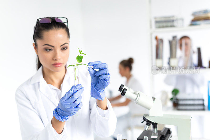 实验室女技术员检验蔬菜的质量