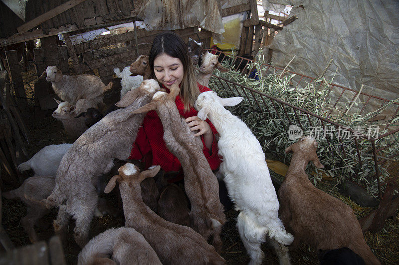 喜欢小山羊的小女孩