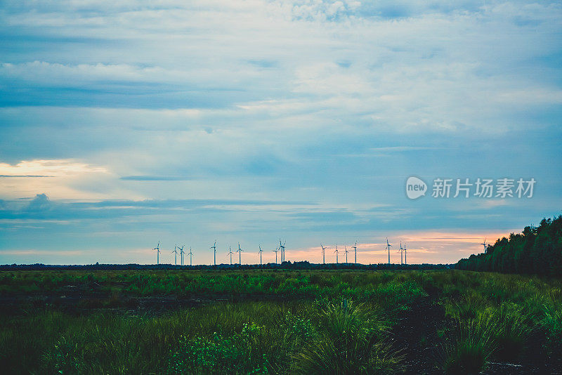 高沼地上的田野，天空引人注目。