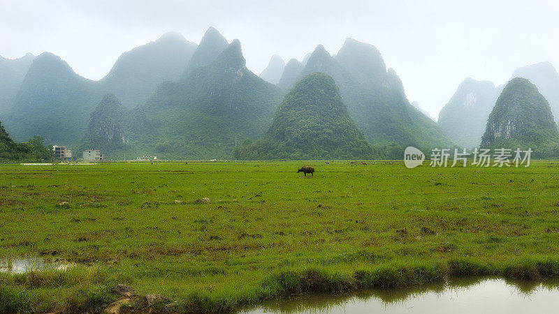 春天的喀斯特山峰和农田