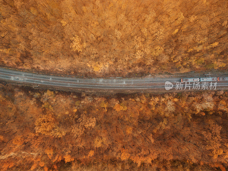 黄秋林中，火车机车沿铁路运输货物或旅客的鸟瞰图