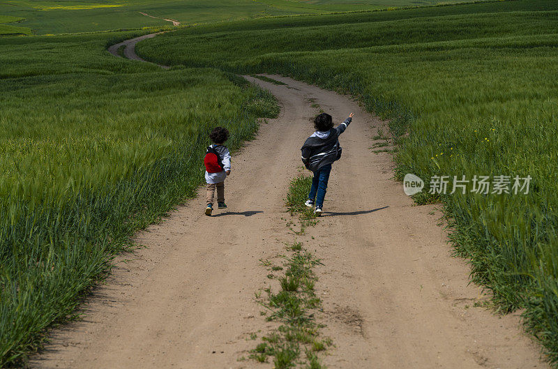 男孩们沿着蜿蜒的乡村小路穿过麦田