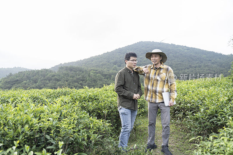 两位中国男科学家在有机茶园合影