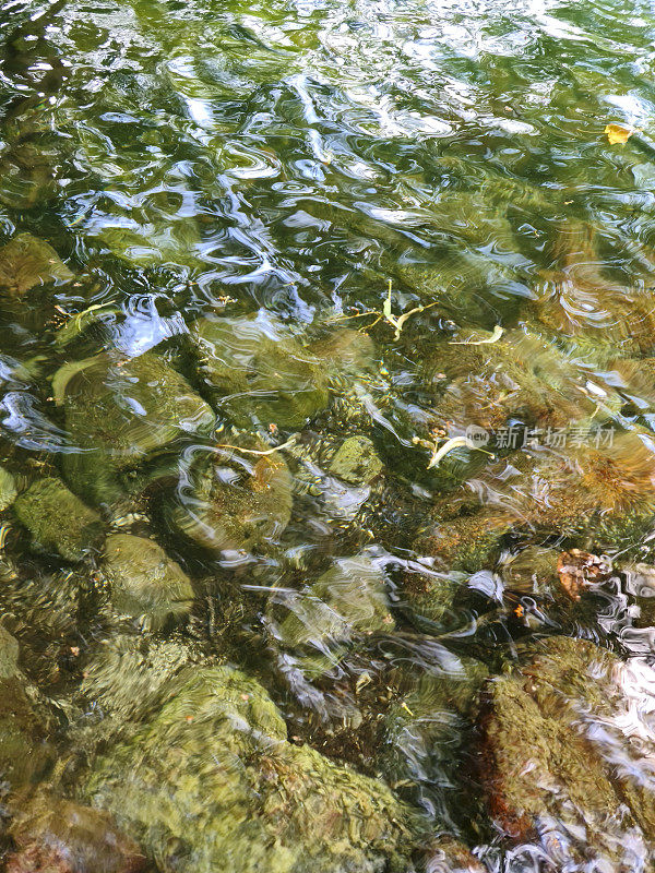 石头在寒冷的天然湖泊与绿色的水和树木-水下的波浪