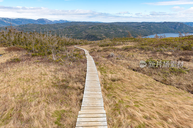 格罗斯莫恩国家公园瞭望山步道，邦尼湾，纽芬兰和拉布拉多
