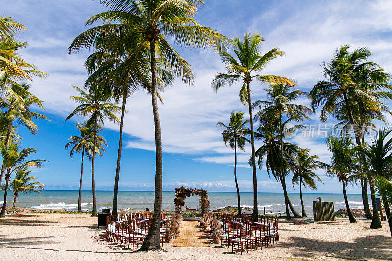 巴西巴伊亚海滩上的热带天堂婚礼装饰