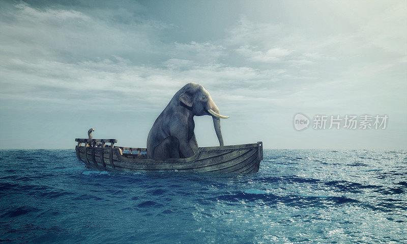 大象在海上的船里。