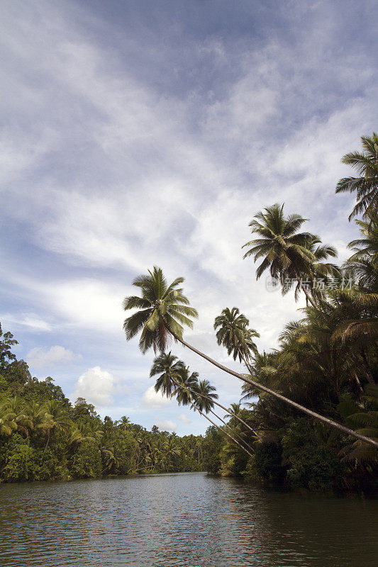 印度尼西亚，北马鲁库，Halmahera，河流。